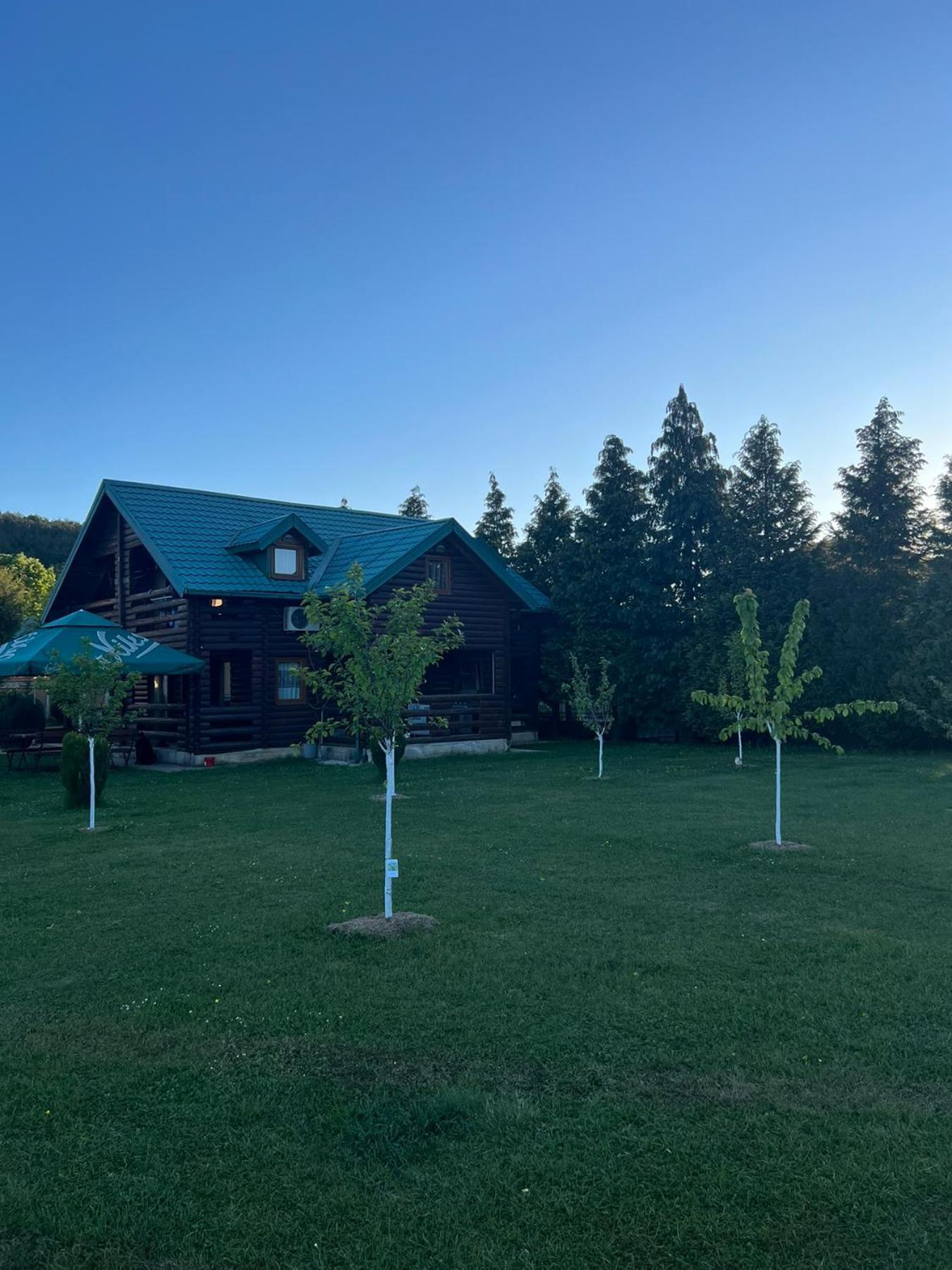 Apartments & Camp Stanisic Nikšić Bagian luar foto