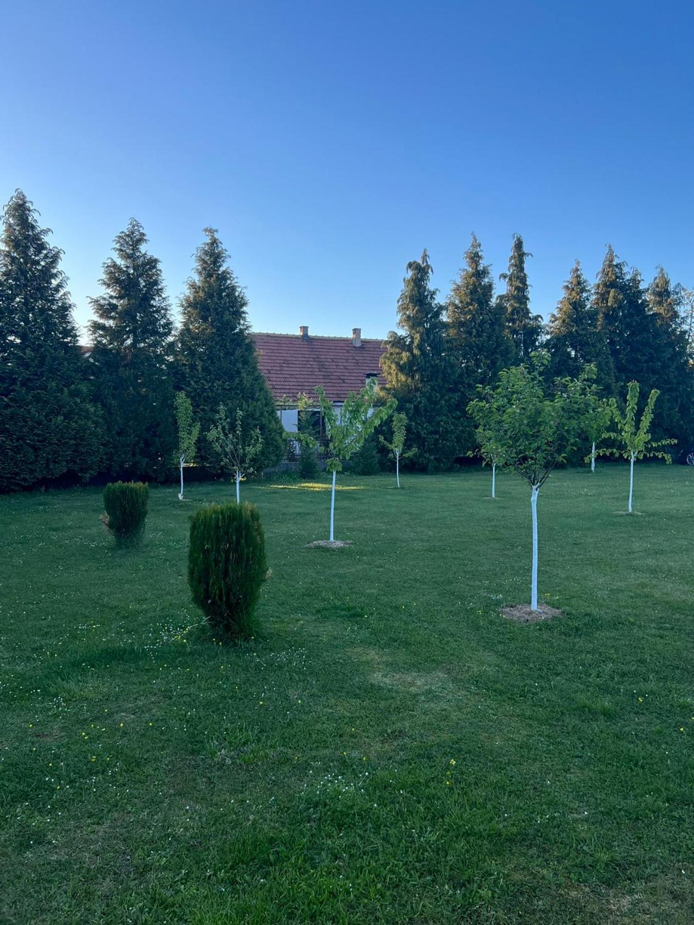 Apartments & Camp Stanisic Nikšić Bagian luar foto